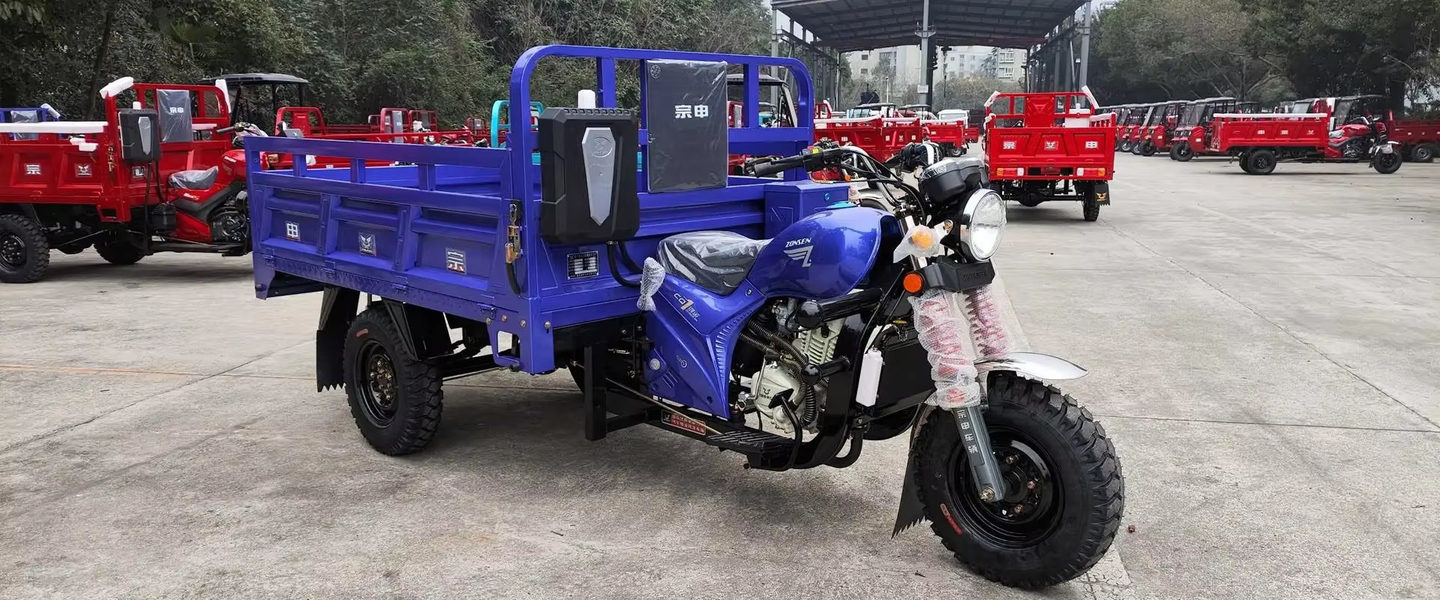 Triciclo elettrico per passeggeri
