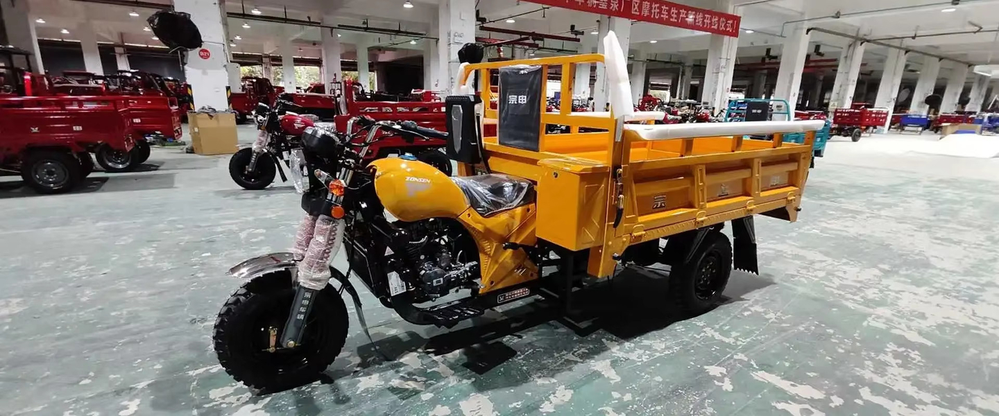 Triciclo elettrico di svago