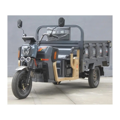 Triciclo elettrico a tre ruote da carico a motore da 1000 W per adulti 1 passeggero Tipo di corpo aperto
