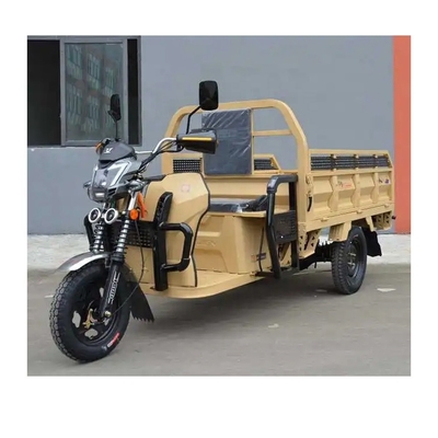 Motocicli a tre ruote Camioni di carico E Tricicli / Trike elettrici pesanti