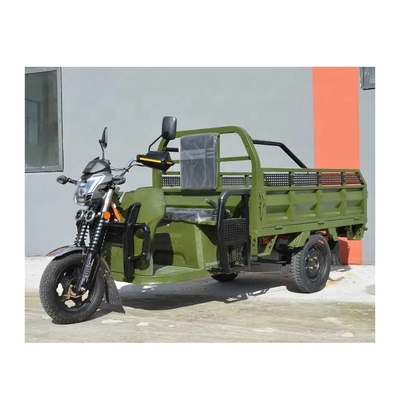 Motocicli a tre ruote Camioni di carico E Tricicli / Trike elettrici pesanti