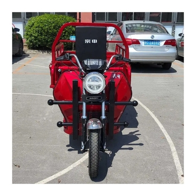 Triciclo elettrico Tuk Tuk per carico 1500*1000*280mm