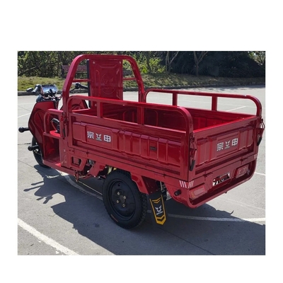 Triciclo elettrico Tuk Tuk per carico 1500*1000*280mm