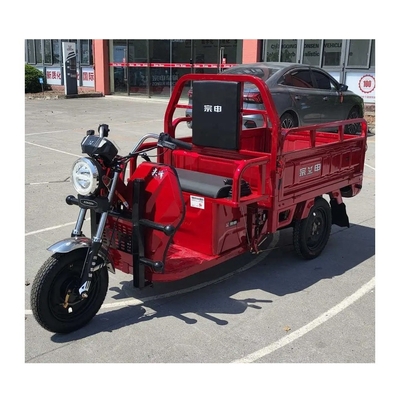 Triciclo elettrico Tuk Tuk per carico 1500*1000*280mm