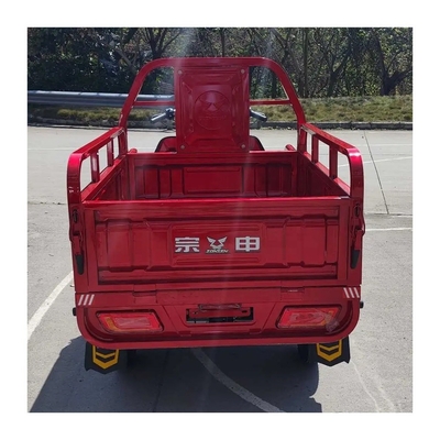 Triciclo elettrico Tuk Tuk per carico 1500*1000*280mm