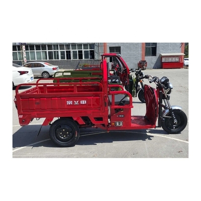 Triciclo elettrico Tuk Tuk per carico 1500*1000*280mm