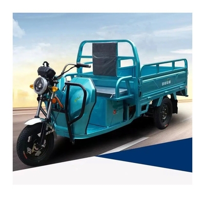 Triciclo elettrico Tuk Tuk per carico 1500*1000*280mm