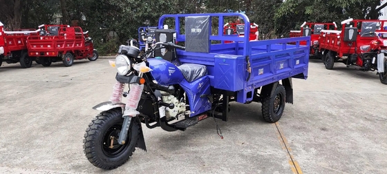 151 200cc cilindrata Motore a benzina a tre ruote Motore a benzina motorizzato Tricicli da carico per adulti