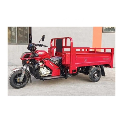 Triciclo a 3 ruote con motore a benzina e sidecar in Pakistan facile da usare e mantenere