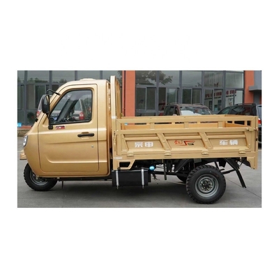 Adulto con cabina completamente chiusa Cargo Motociclo a 3 ruote triciclo con 1000W di potenza