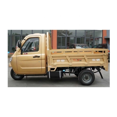 Adulto con cabina completamente chiusa Cargo Motociclo a 3 ruote triciclo con 1000W di potenza