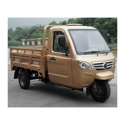 Adulto con cabina completamente chiusa Cargo Motociclo a 3 ruote triciclo con 1000W di potenza