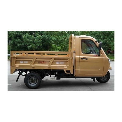 Adulto con cabina completamente chiusa Cargo Motociclo a 3 ruote triciclo con 1000W di potenza