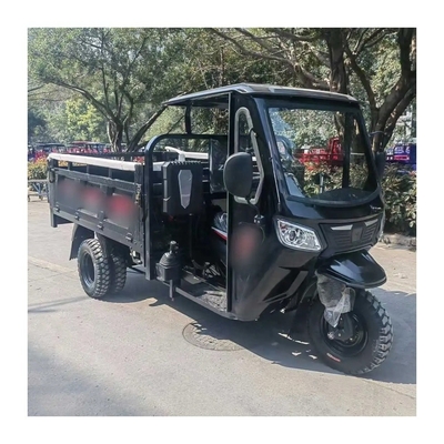 Velocità massima 50-70Km/h Automatica Motore a benzina a tre ruote Trike per adulti