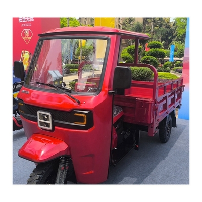 Trikes a benzina 300cc 250cc 3 ruote Motociclette da carico con cabina e tetto chiusi