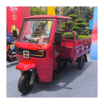 1 Camionino di benzina per passeggeri Cargo per il Sri Lanka Bicicletta triciclo Bassa manutenzione