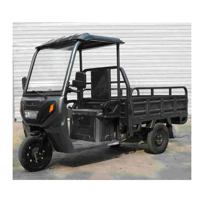 Stati Uniti 3 ruote Dump Truck Cargo Tricycle Cargo Bike con tetto e 1000W di potenza