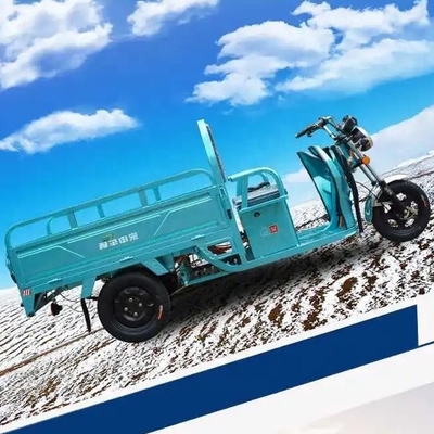 Triciclo elettrico a motore per carico / ciclomotore a tre ruote per adulti con tempo di ricarica 3-5h