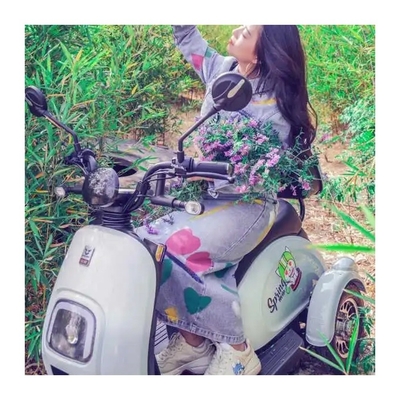 Corpo aperto Tipo 48V 500W Motoscolette elettriche a 3 ruote Triciclo Tuk Tuk E-Trikes in India
