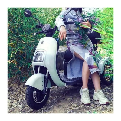 650W Tre ruote triciclo elettrico motociclo motociclo per adulti guida Tipo elettrico