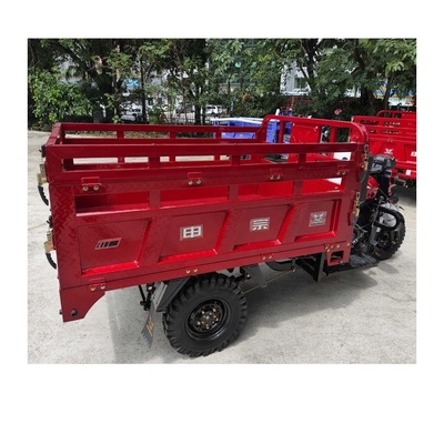 Zongshen Motorized Gasoline Engine Cargo Tricycle Tire Dimensione 5.00-12 Disposizione 250cc