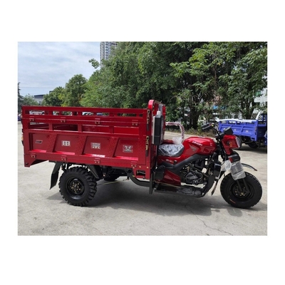 Zongshen Motorized Gasoline Engine Cargo Tricycle Tire Dimensione 5.00-12 Disposizione 250cc
