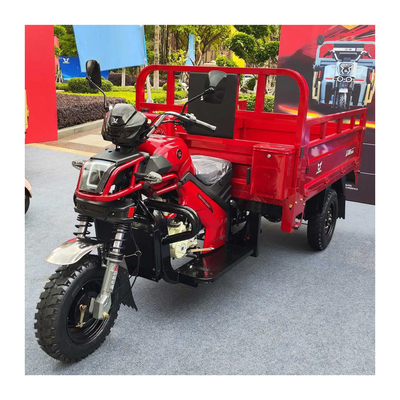 Motore a tre ruote moto a benzina triciclo auto per adulti
