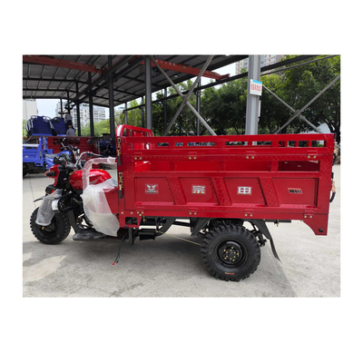 Triciclo da 300cc con Strengthen 8 Leaf Springs Filippine Super Moto Cargo motorizzato