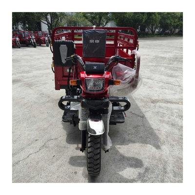 Triciclo da 300cc con Strengthen 8 Leaf Springs Filippine Super Moto Cargo motorizzato