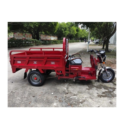MXZS 1A13 Motore aperto Benzina Trimoto Benzina Tricicli motorizzati per adulti 1 passeggero