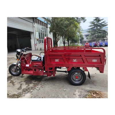 MXZS 1A13 Motore aperto Benzina Trimoto Benzina Tricicli motorizzati per adulti 1 passeggero