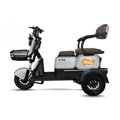 Passeggeri 2 3 ruote E-Scooter Motor E-Bike per adulti Tuk Tuk Mobilità E-Scooter