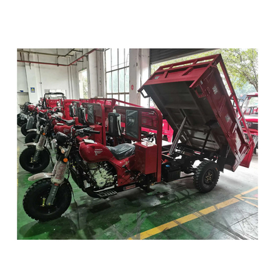 3500*1440*1450mm Triciclo motorizzato con motore da 250cc e velocità massima di 50-70Km/h