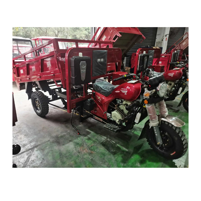 3500*1440*1450mm Triciclo motorizzato con motore da 250cc e velocità massima di 50-70Km/h