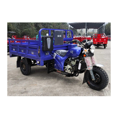 3500*1440*1450mm Triciclo motorizzato con motore da 250cc e velocità massima di 50-70Km/h