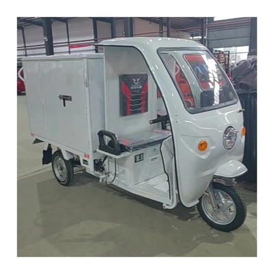 2950*1090*1730mm Veicolo elettrico a tre ruote per le necessità di consegna versatili