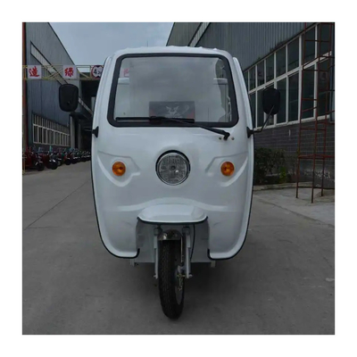 2950*1090*1730mm Veicolo elettrico a tre ruote per le necessità di consegna versatili