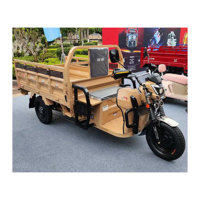Etrike elettrico a 3 ruote con freni a tamburo posteriore e chilometraggio da 70-90 km