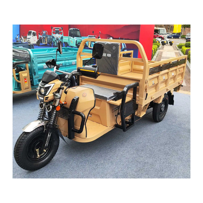 Etrike elettrico a 3 ruote con freni a tamburo posteriore e chilometraggio da 70-90 km