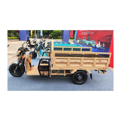 Etrike elettrico a 3 ruote con freni a tamburo posteriore e chilometraggio da 70-90 km